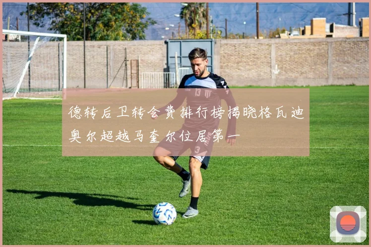 德转后卫转会费排行榜揭晓格瓦迪奥尔超越马奎尔位居第一